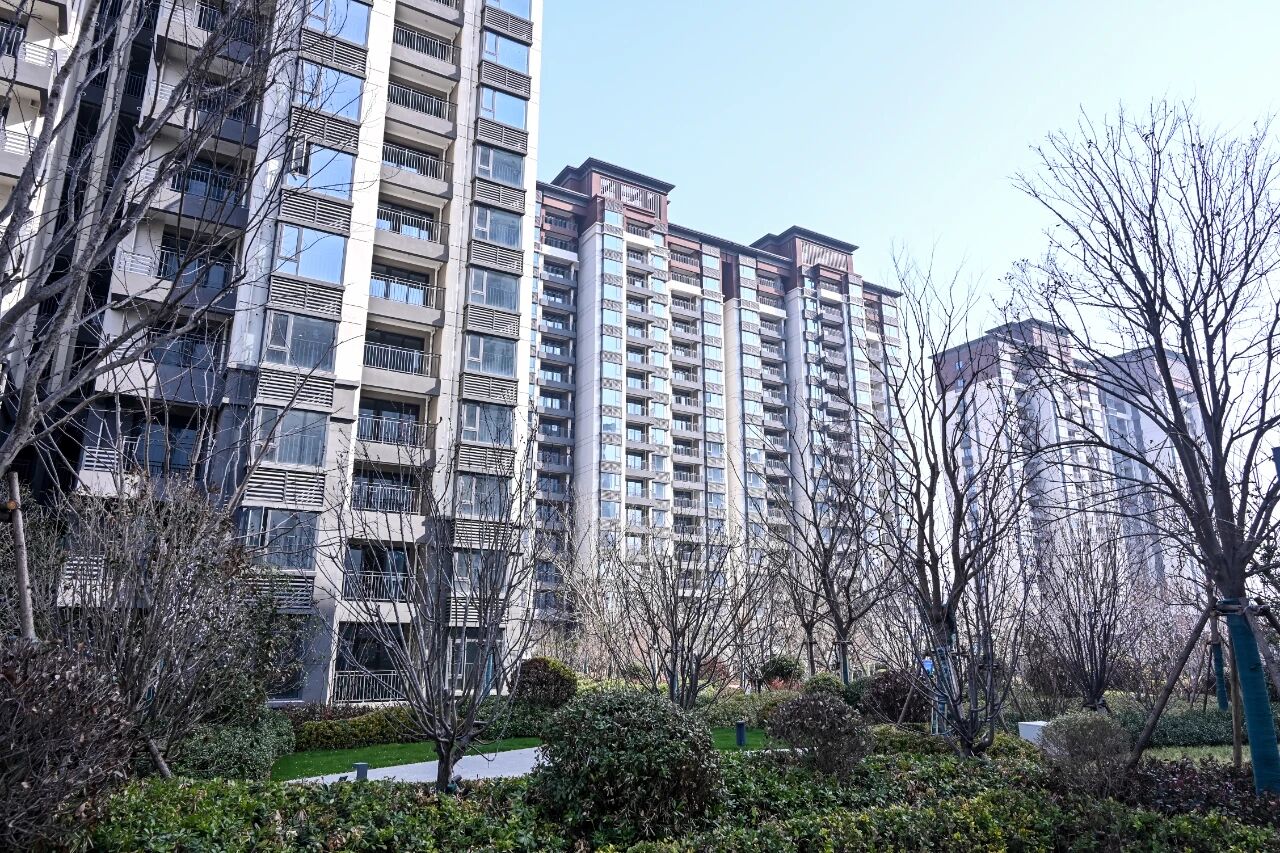 1774574920131190.jpg 1774574920131190.jpg